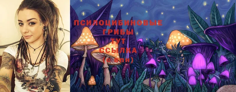 блэк спрут вход  Ужур  Галлюциногенные грибы Psilocybine cubensis 